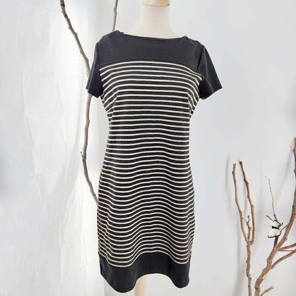 Laundry by Shelly Segal tan and black striped dress